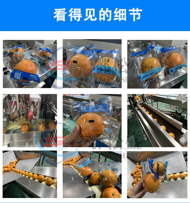 橙子包裝機(jī)方案