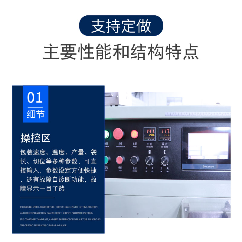 一次性平面口罩包裝機(jī)(圖3)
